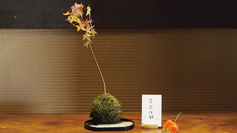 苔玉づくり体験