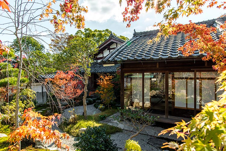 秋の紅葉と日本庭園（客室前）